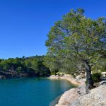 Crique du Lac d'Esparron